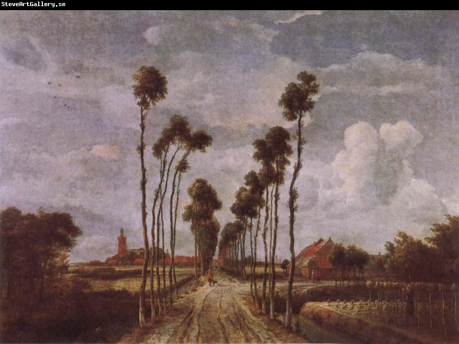 Meindert Hobbema The Avenue at Middlehamis